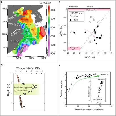 Radiocarbonscapes of Sedimentary Organic Carbon in the East Asian Seas